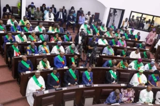 10e législature assemblee nationale