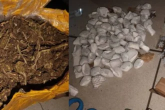 chanvre indien police républicaine