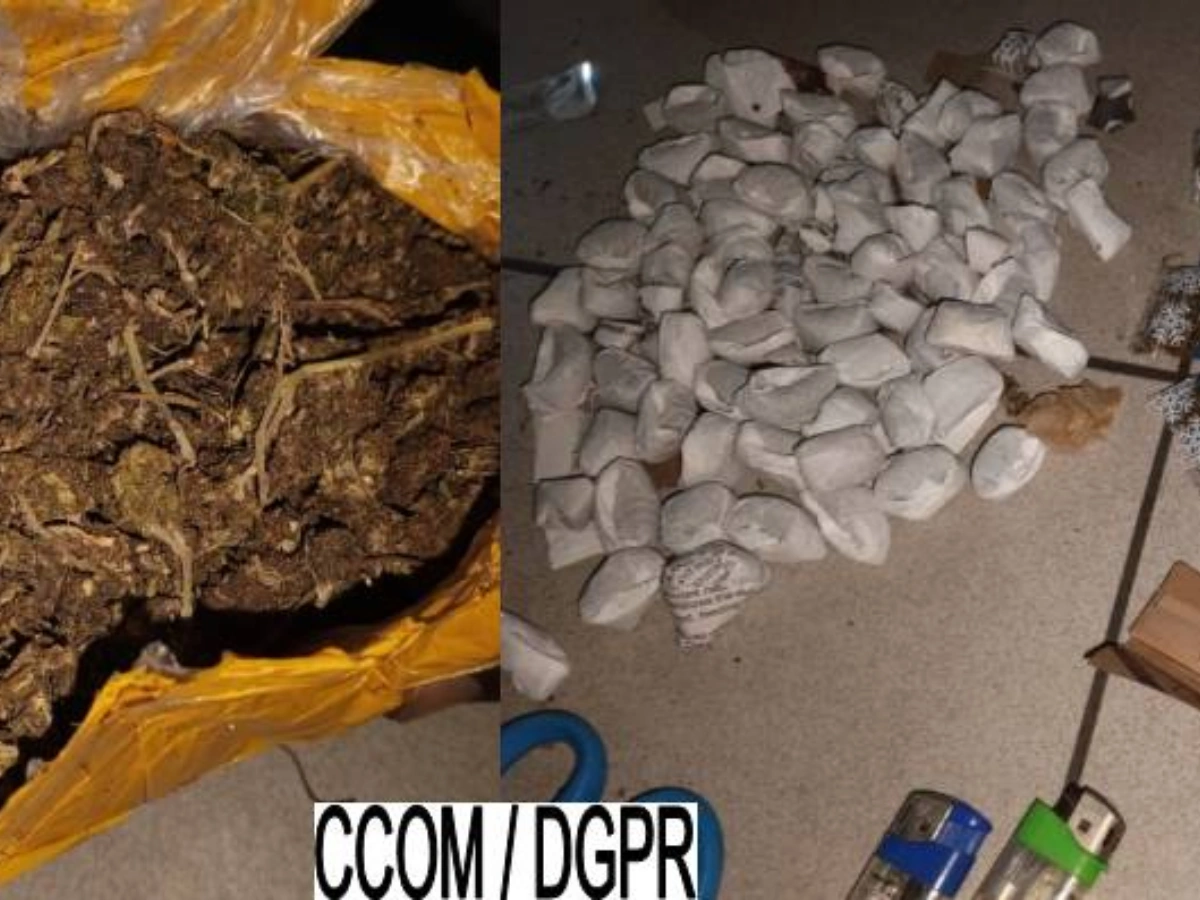 chanvre indien police républicaine