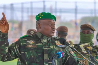 accusations tiani rugir