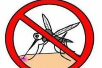 lutte contre malaria moustiques