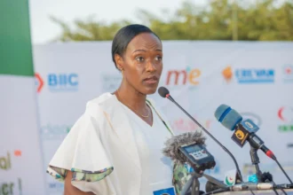 statut artiste conseil des ministres