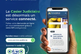 casier judiciaire en ligne