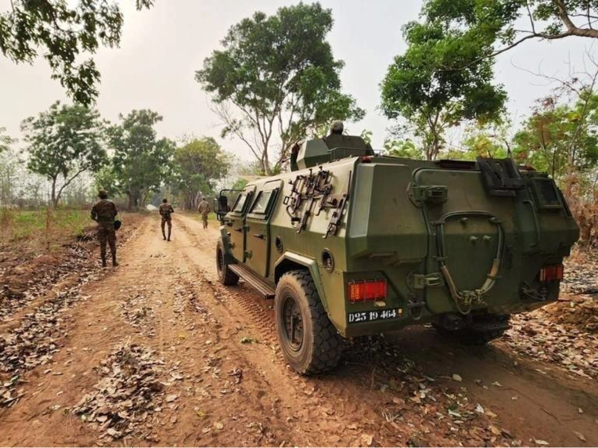 exercice militaire alligator