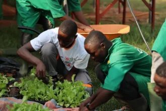 écoles professionnelles agricoles