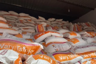 importation riz bénin nouvelles règles