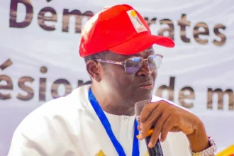 nourénou atchadé président les démocrates