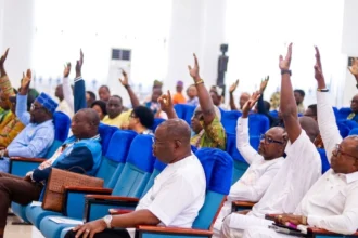 Conseil communal de Cotonou