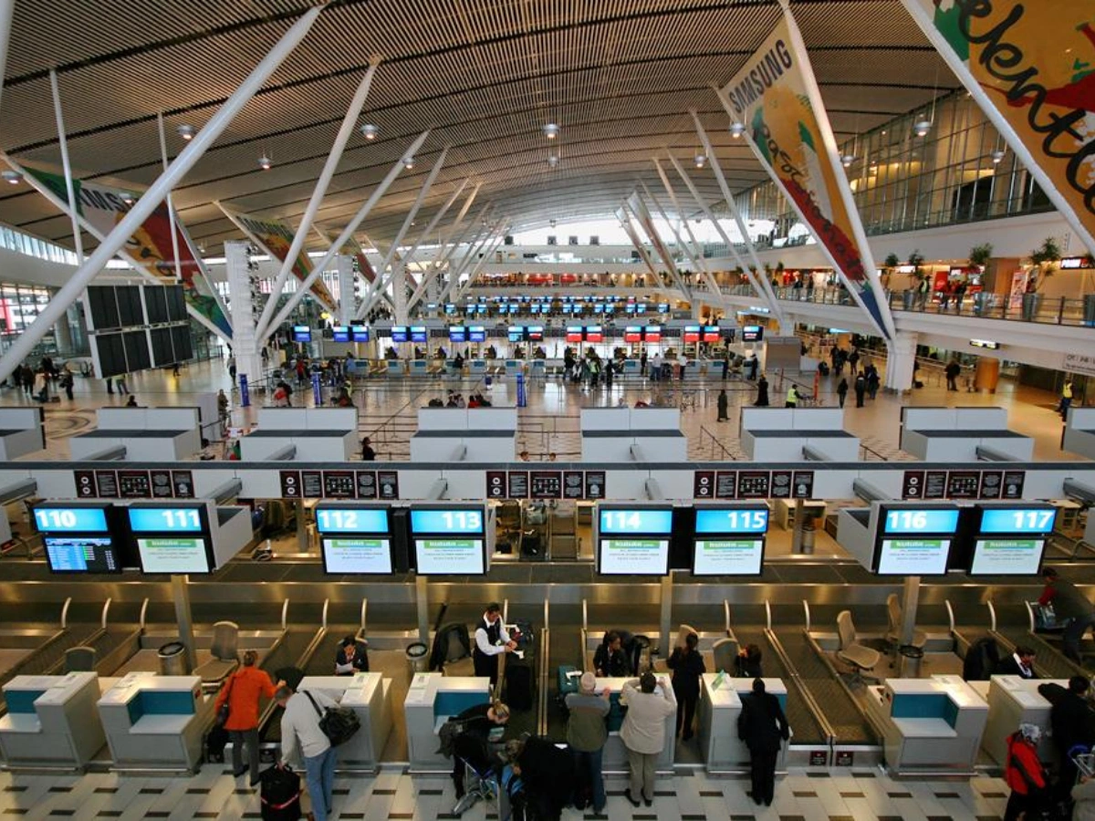 Aéroport du Cap en Afrique du Sud scorpions vénimeux