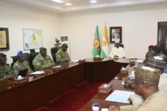 comité d'experts niger benin