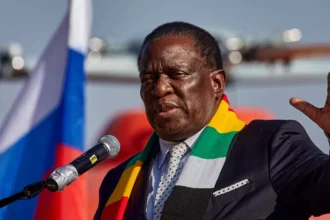 sénat réforme zimbabwé