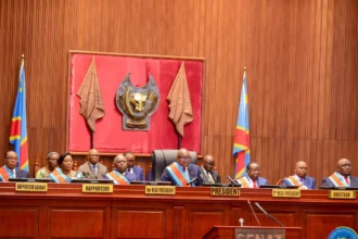 RDC sénat référendum