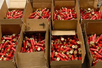 Saisie de 3 000 cartouches de chasse de calibre 12, le 20 juin 2026 à Bétérou.