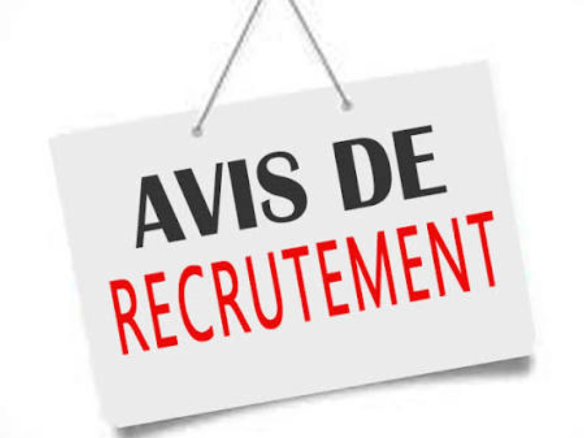anlmm recrute 15 postes