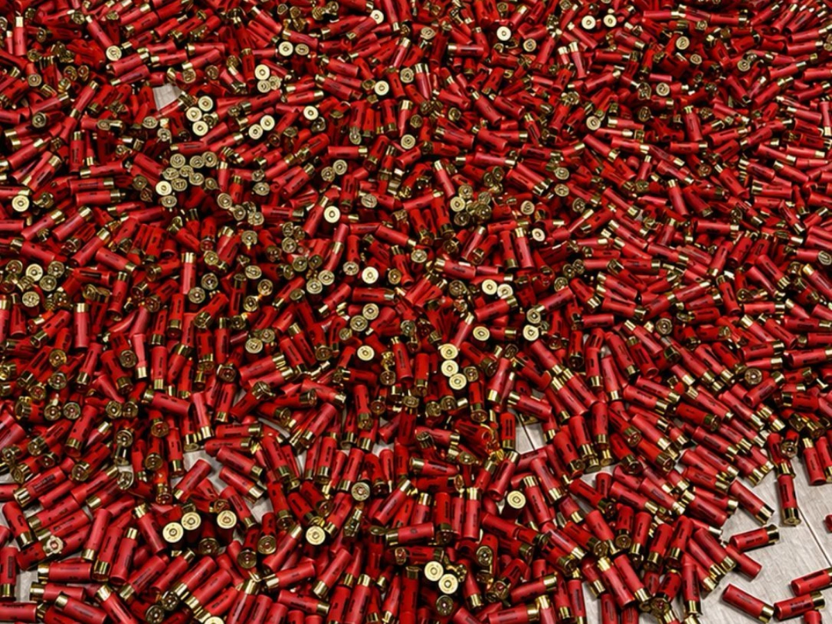 À Bétérou dans la commune de Tchaourou, les éléments de la Police républicaine ont intercepté dans la nuit du lundi 13 au mardi 14 juillet 2026, un véhicule transportant clandestinement 500 cartouches de calibre 12.