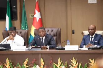 L'APA sur sa session extraordinaire sur la crise au Moyen-Orient