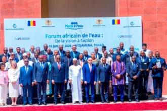 forum africain de l'au et la déclaration de N'Djamena