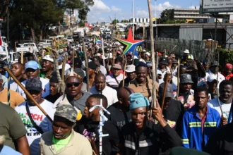 bilan violences xénophobes afrique du sud
