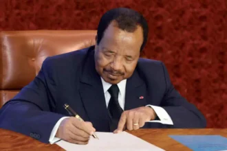 remaniement armées cameroun