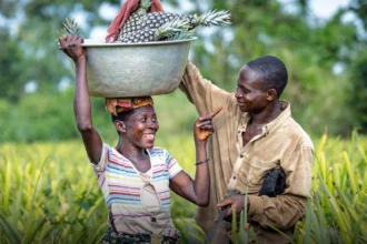 Agriculture au Bénin : les performances de 2025 saluées, mais des défis persistent