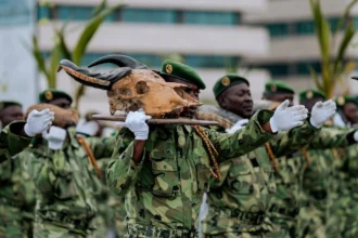 Bénin : le nouveau Code forestier élargit les pouvoirs des agents des Eaux et Forêts