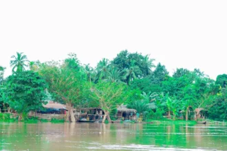 Crue du fleuve Ouémé : plusieurs villages inondés à Adjohoun et Bonou