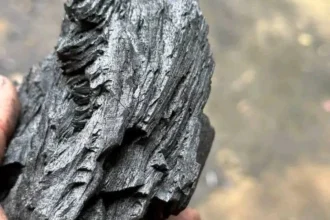 Hausse du prix du charbon de bois au Bénin